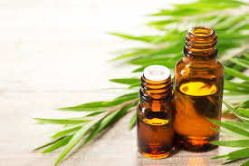 Top home remedies for acne